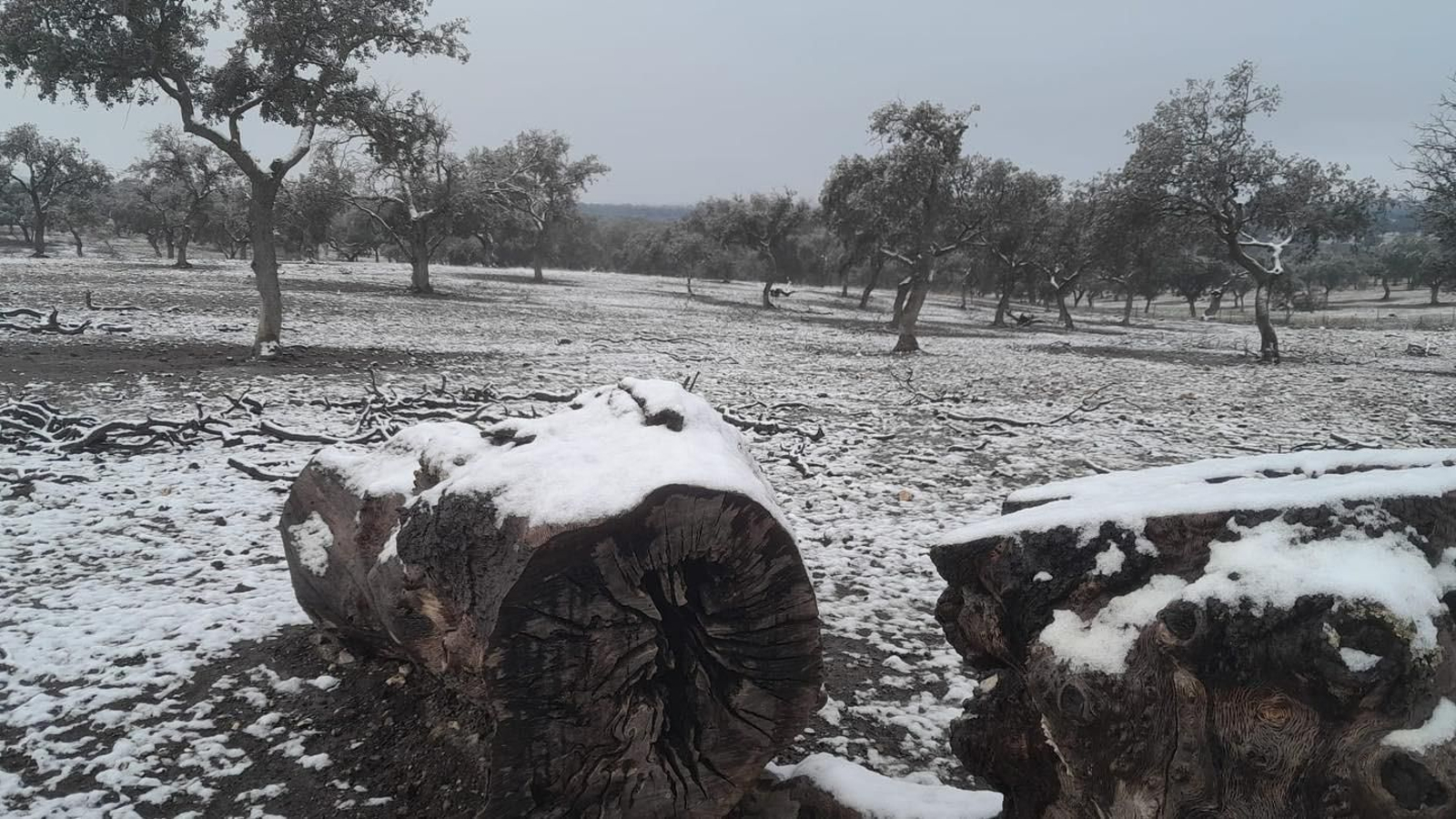 La nieve tiñe de blanco El Guijo. La nieve tiñe de blanco El Guijo.