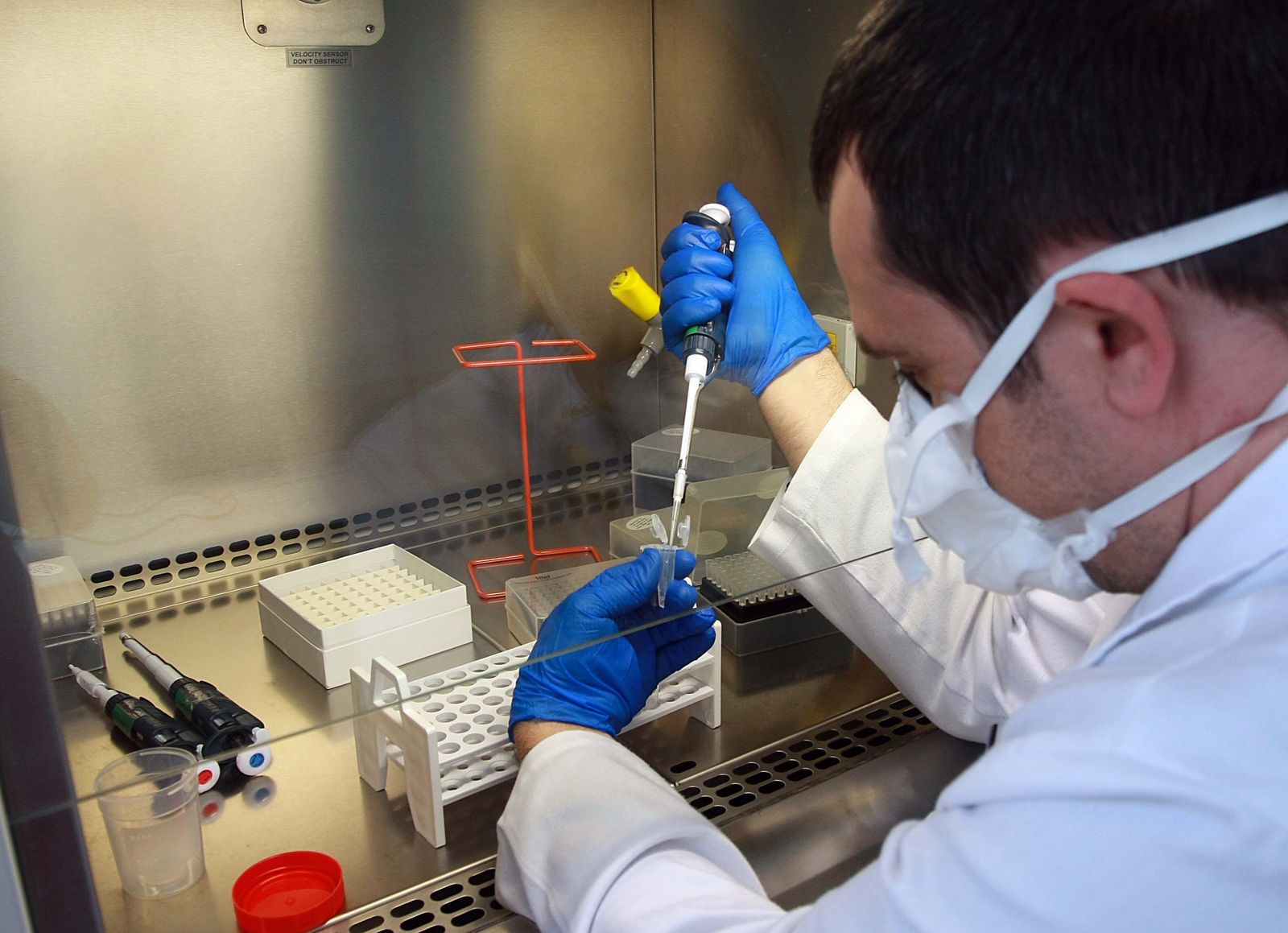 Imagen de archivo de un científico en un laboratorio