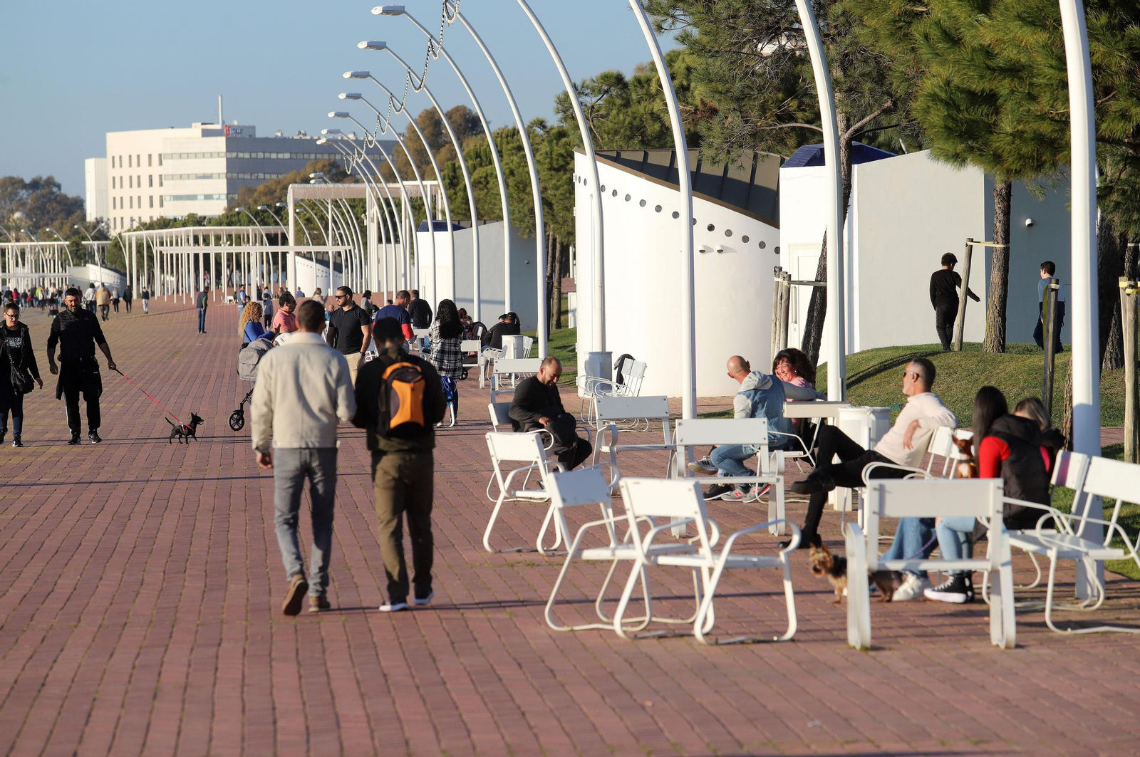 Imágenes del domingo 5 de febrero en Huelva
