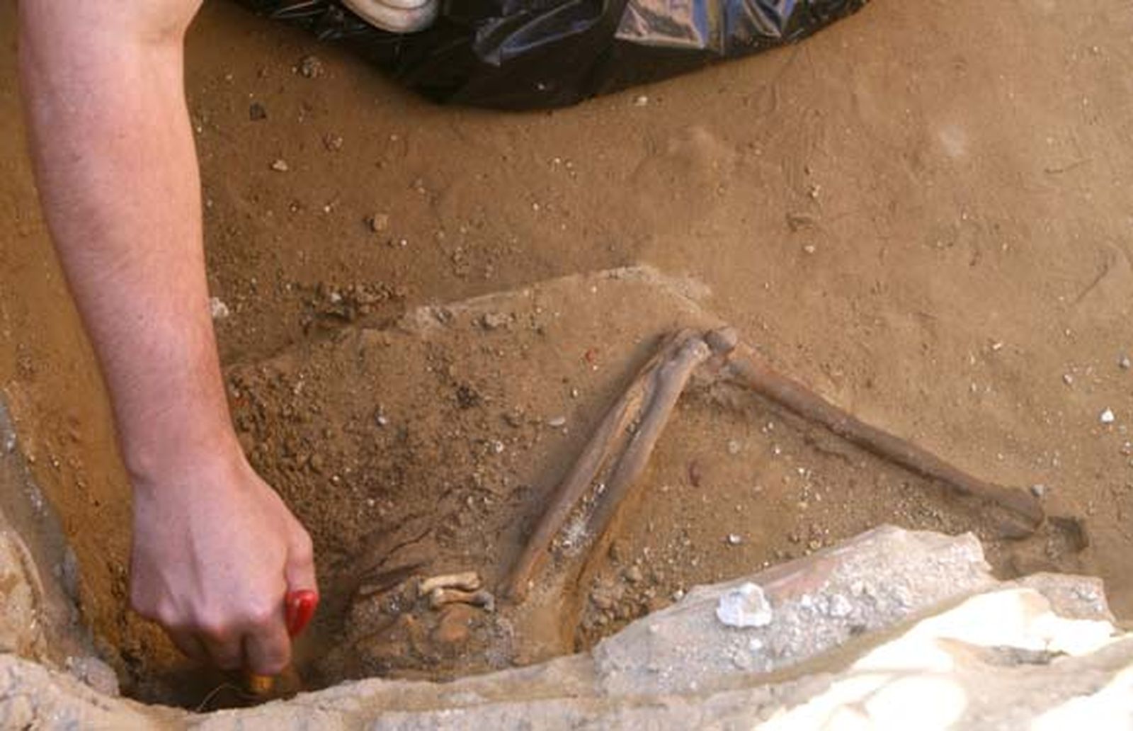 Hallan en Puerto Real una fosa con restos de más de cien fusilados durante la Guerra Civil

Foto: Borja Benjumeda