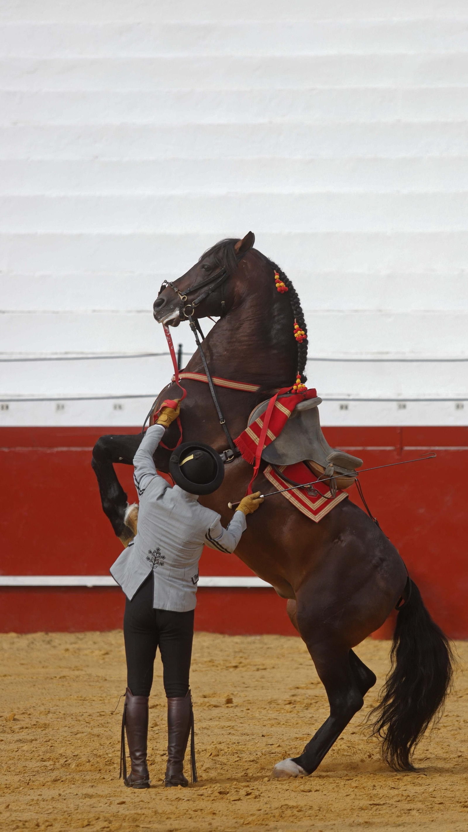 Fotos del espectáculo 'Cómo bailan los caballos andaluces' en San Roque