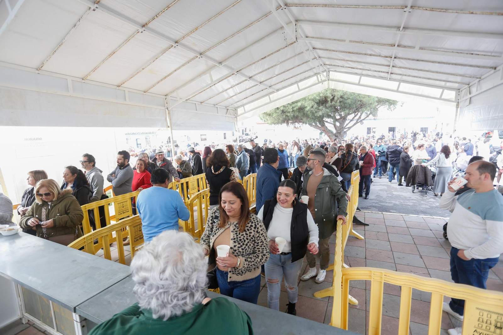 Fotos de la tagarninada popular en Los Barrios