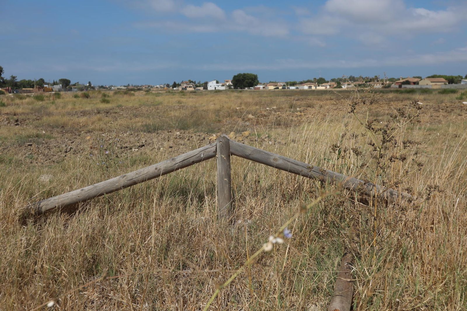 1. El cauce previsto para la recogida de aguas pluviales y dar un aspecto estético al parque posee un aspecto más que lamentable con vegetaciones y basura  2. Uno de los bancos rodeado de maleza. 3. Camino del parque donde se aprecian marcas de neumáticos. 4. Vallado destrozado. 5. Uno de los ejemplares plantado en febrero.  FOTOS: nacho frade
