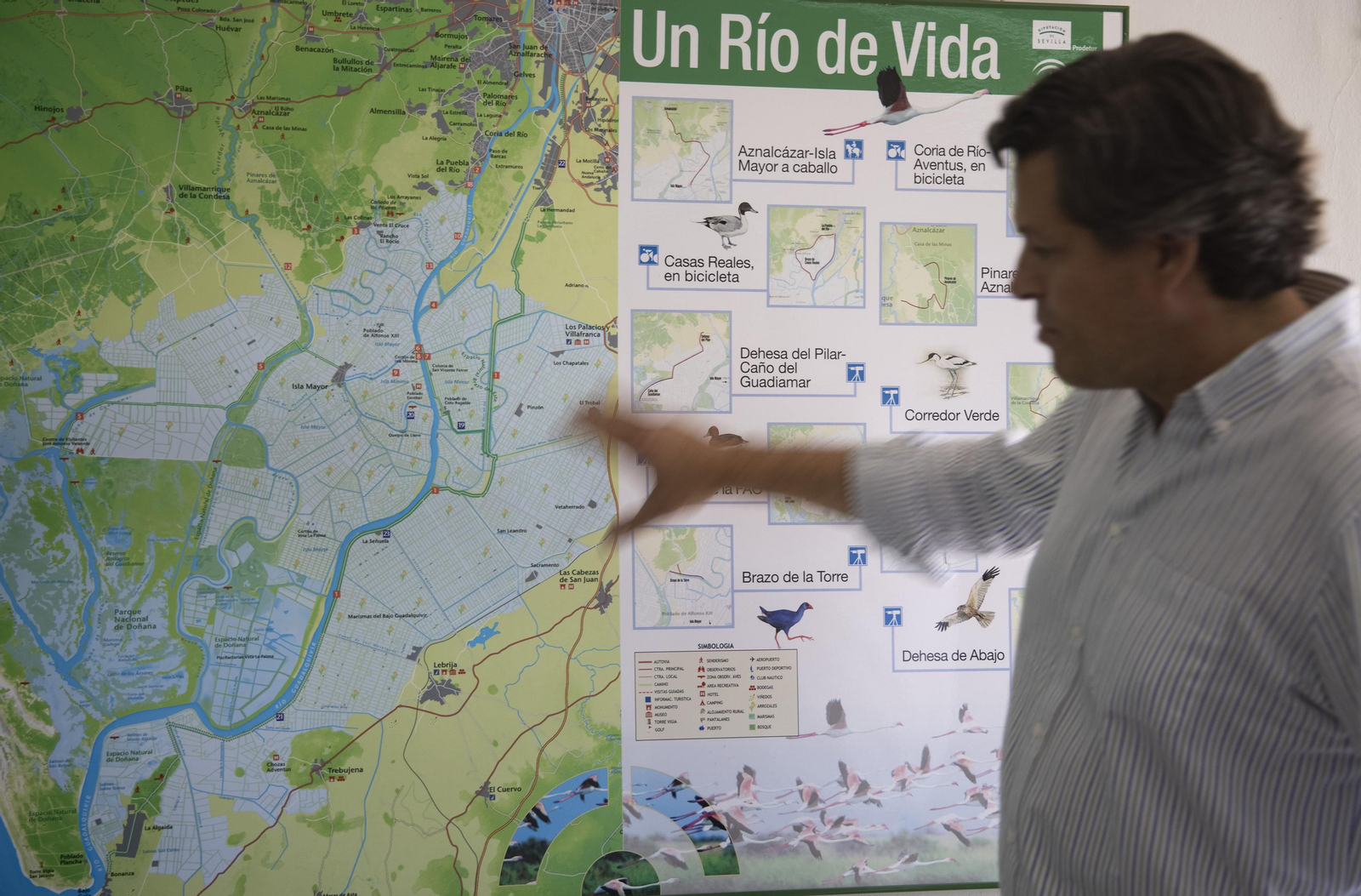 Las fotos de la sequía que sufren los cultivos de arroz en Isla Mayor