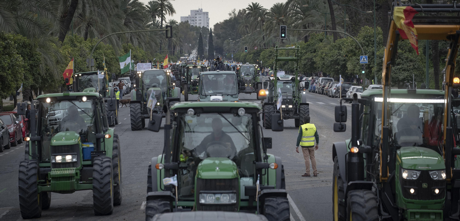 Las imágenes de la manifestación de agricultores de toda Andalucía en Sevilla