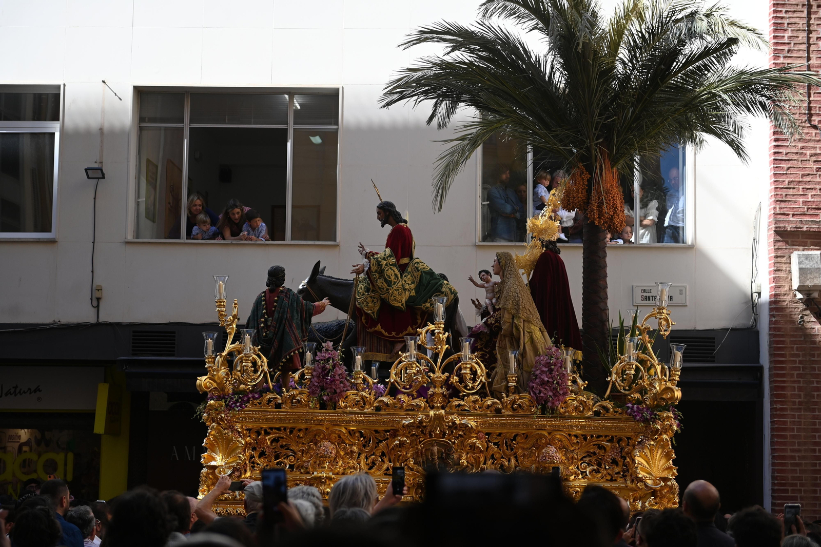 Las fotos de Pollinica en su procesión del Domingo de Ramos en Málaga