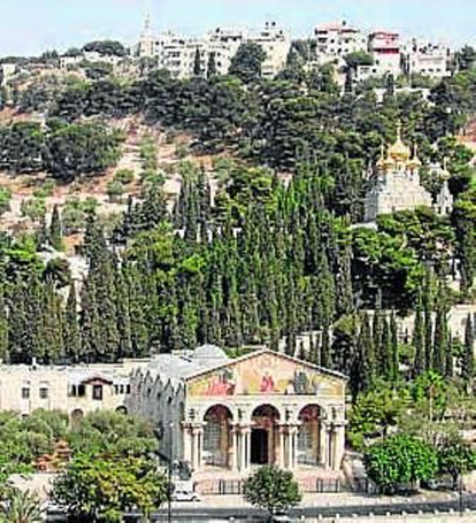 Imagen del huerto de Getsemaní.