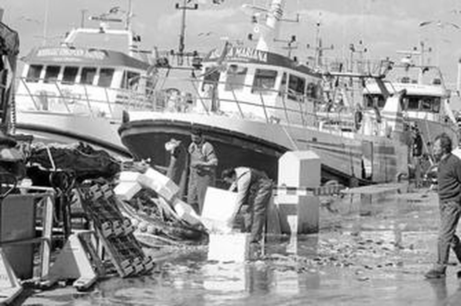 Faenas de descarga de pesca en el puerto de Isla Cristina.