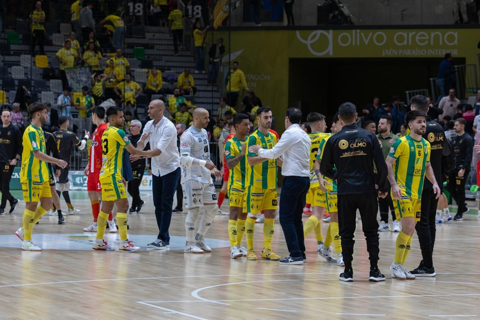 Las mejores imágenes del Jaén Paraíso Interior FS 1 - 1 Jimbee Cartagena