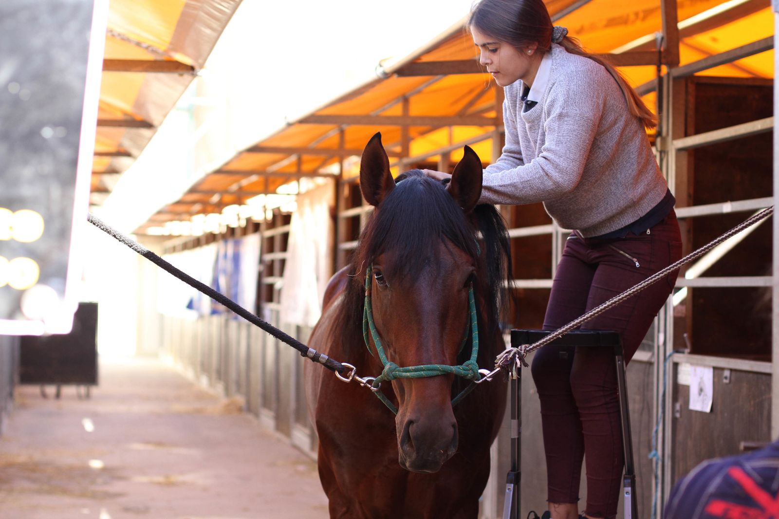 Sicab calienta motores.