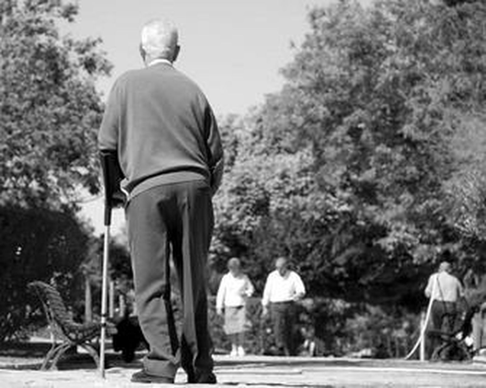 Los ancianos abarcan el mayor número de prestaciones sociales.