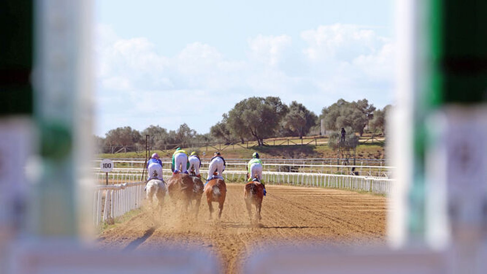 Una imagen de una carrera en el Gran Hipódromo de Andalucía de Dos Hermanas