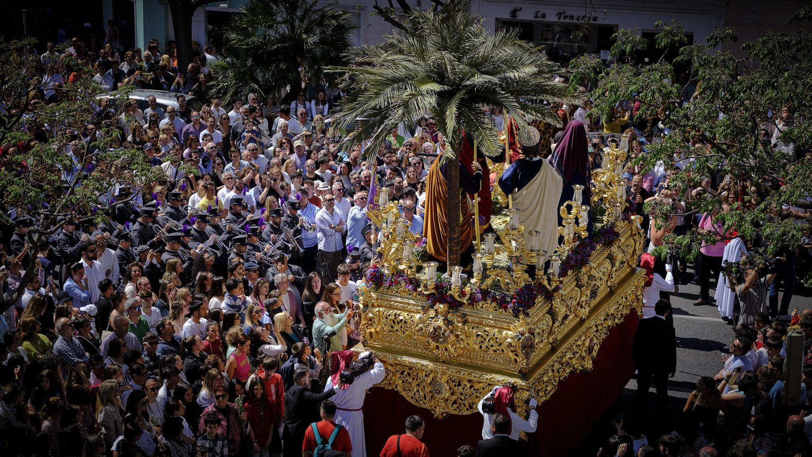 La Borriquita de Cádiz