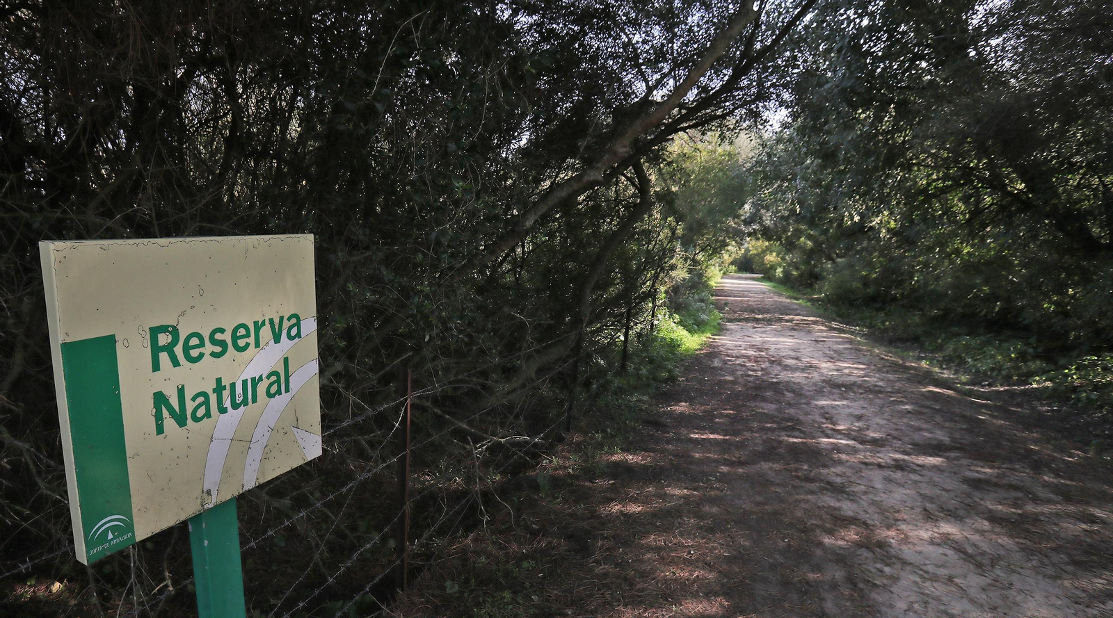 La Laguna de Medina, un paraíso para las aves