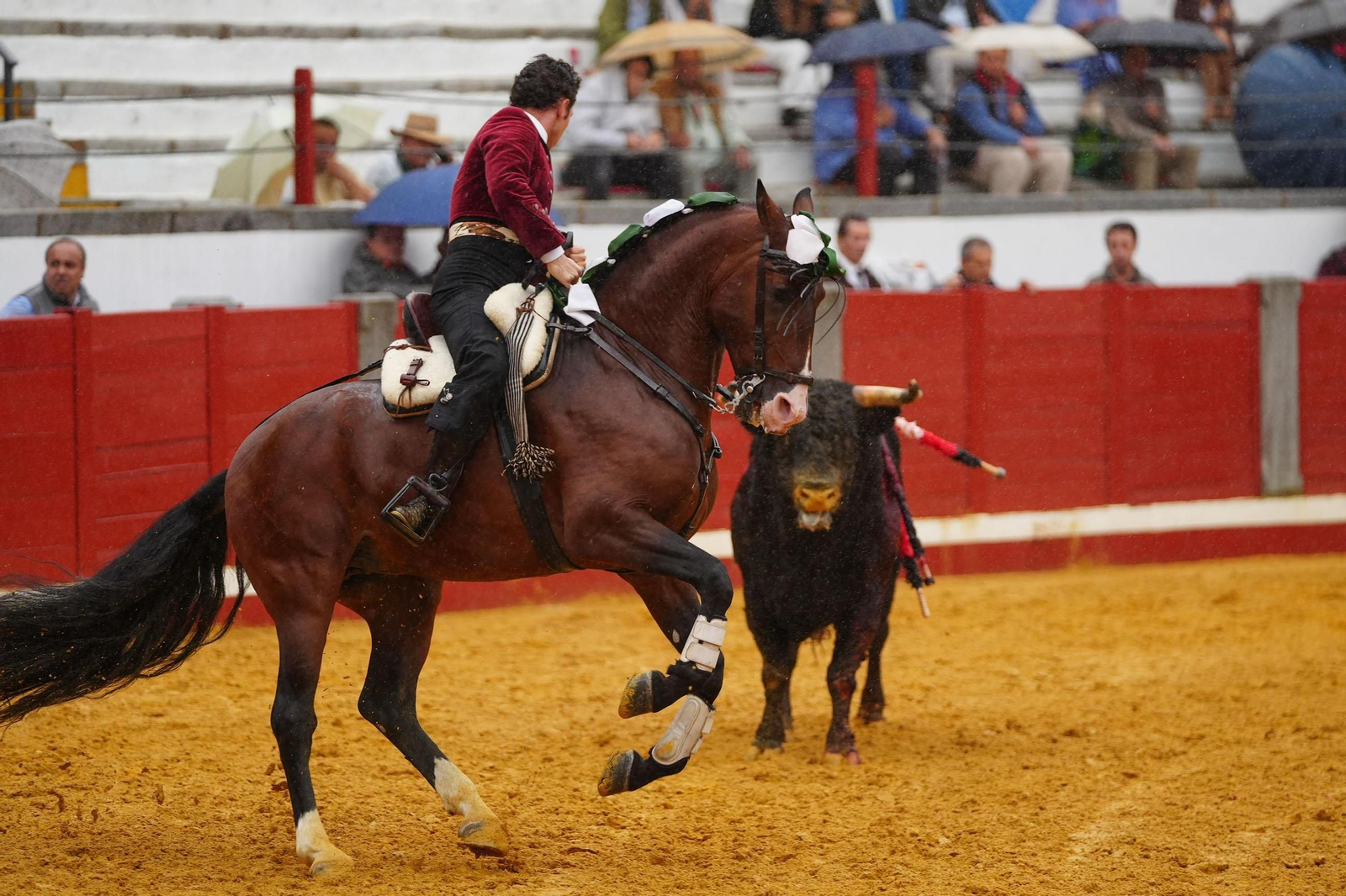 La corrida de rejones de la Feria de Pozoblanco, suspendida por la lluvia