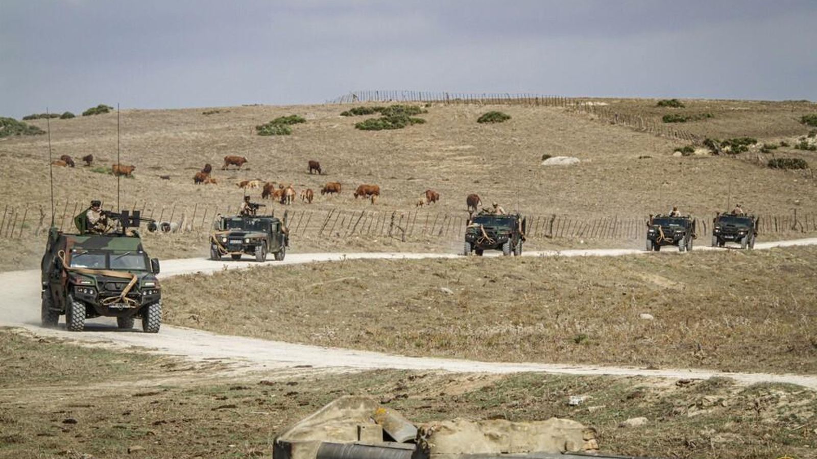 Adiestramiento de la fuerza de infantería de Marina que parte a Malí en misión.