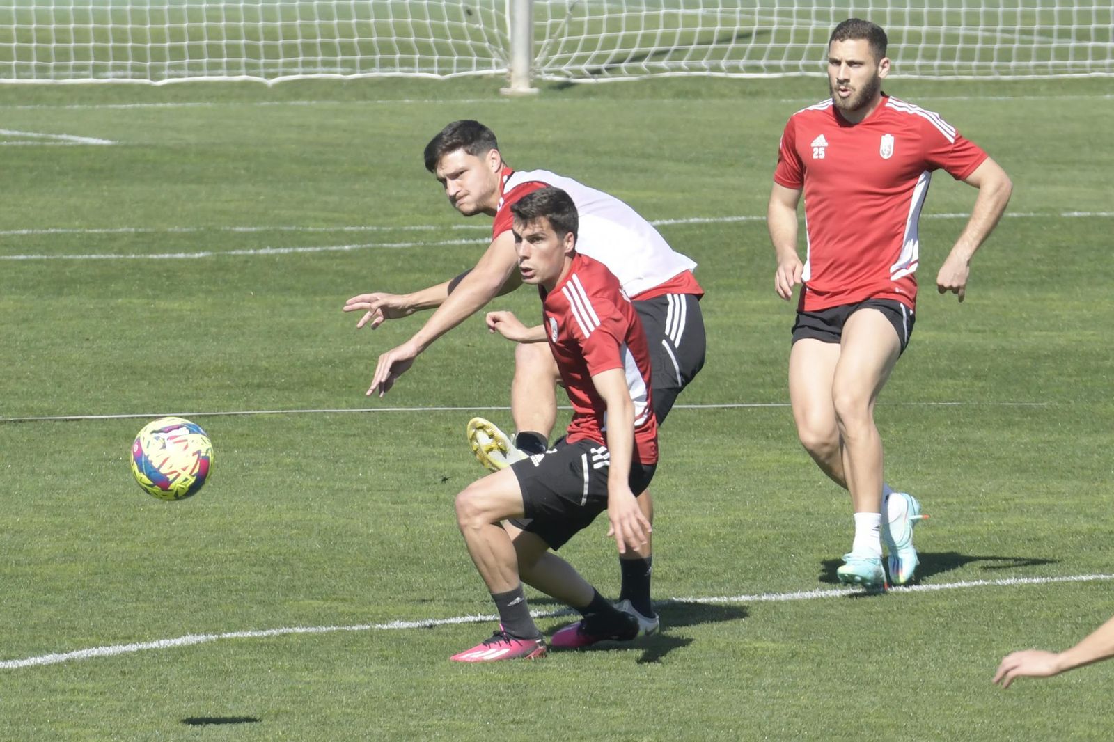 Las imágenes de la vuelta del Granada a los entrenamientos