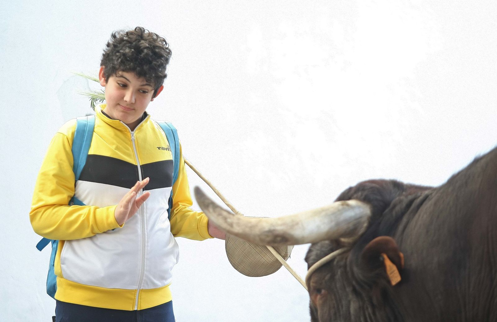 La Romería de Los Barrios, en imágenes