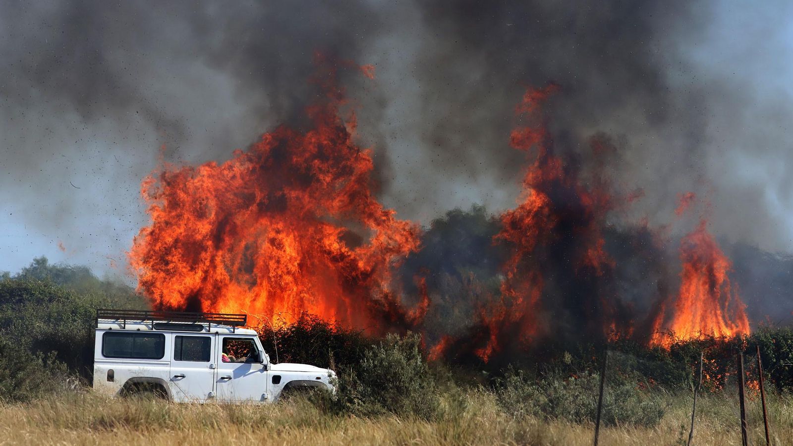 El incendio en Moguer se quedó a las puertas del espacio protegido.