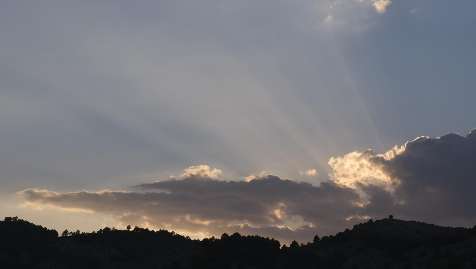 Imágenes del concierto de La Real Cámara en el XXI Festival de Música Renacentista y Barroca de Vélez Blanco