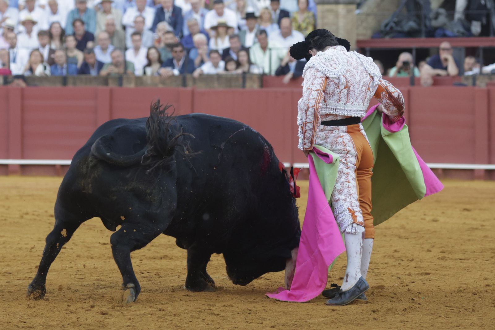 Las imágenes del festejo