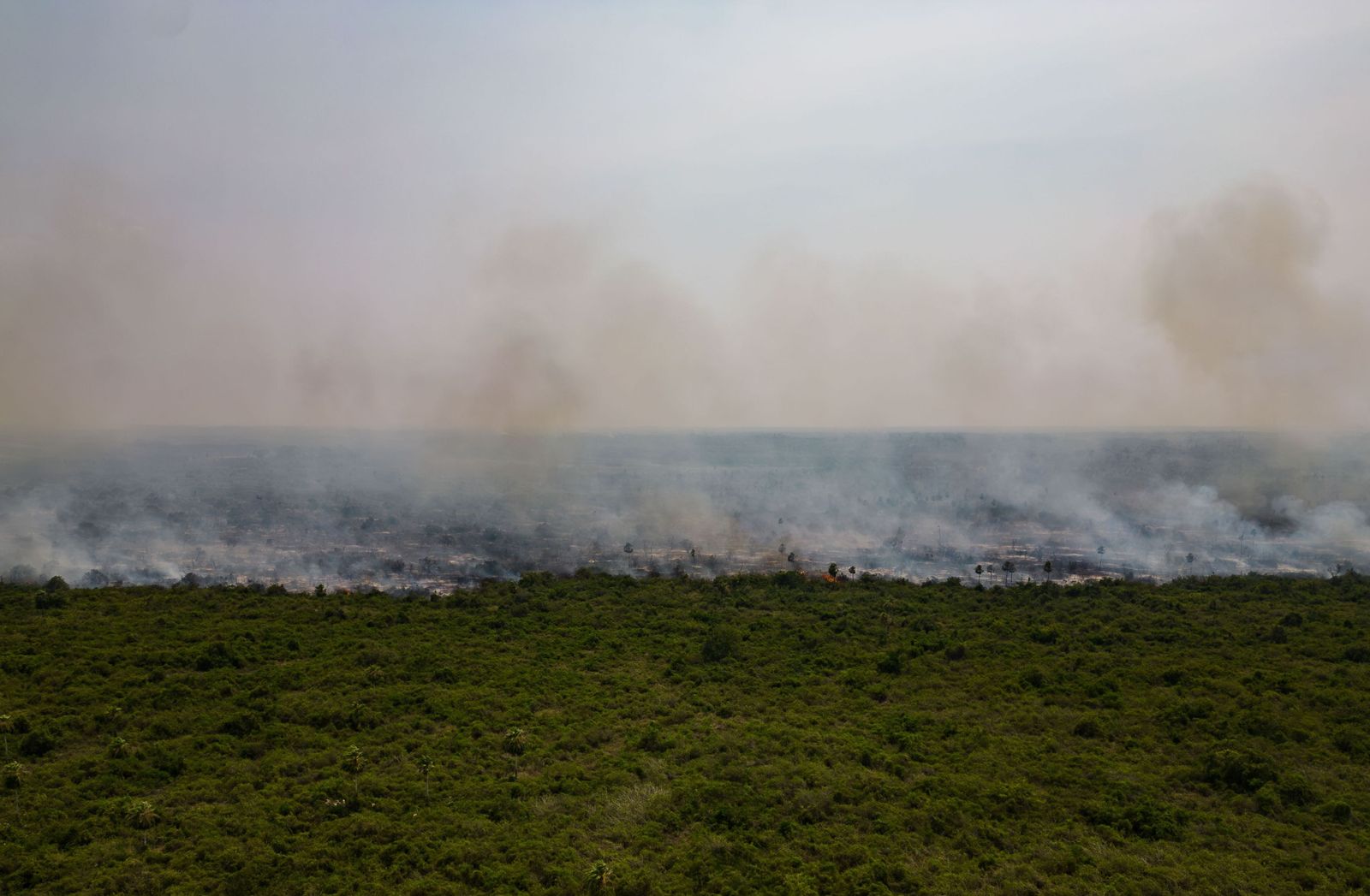 Las llamas convierten en una tumba al aire libre El Pantanal en Brasil