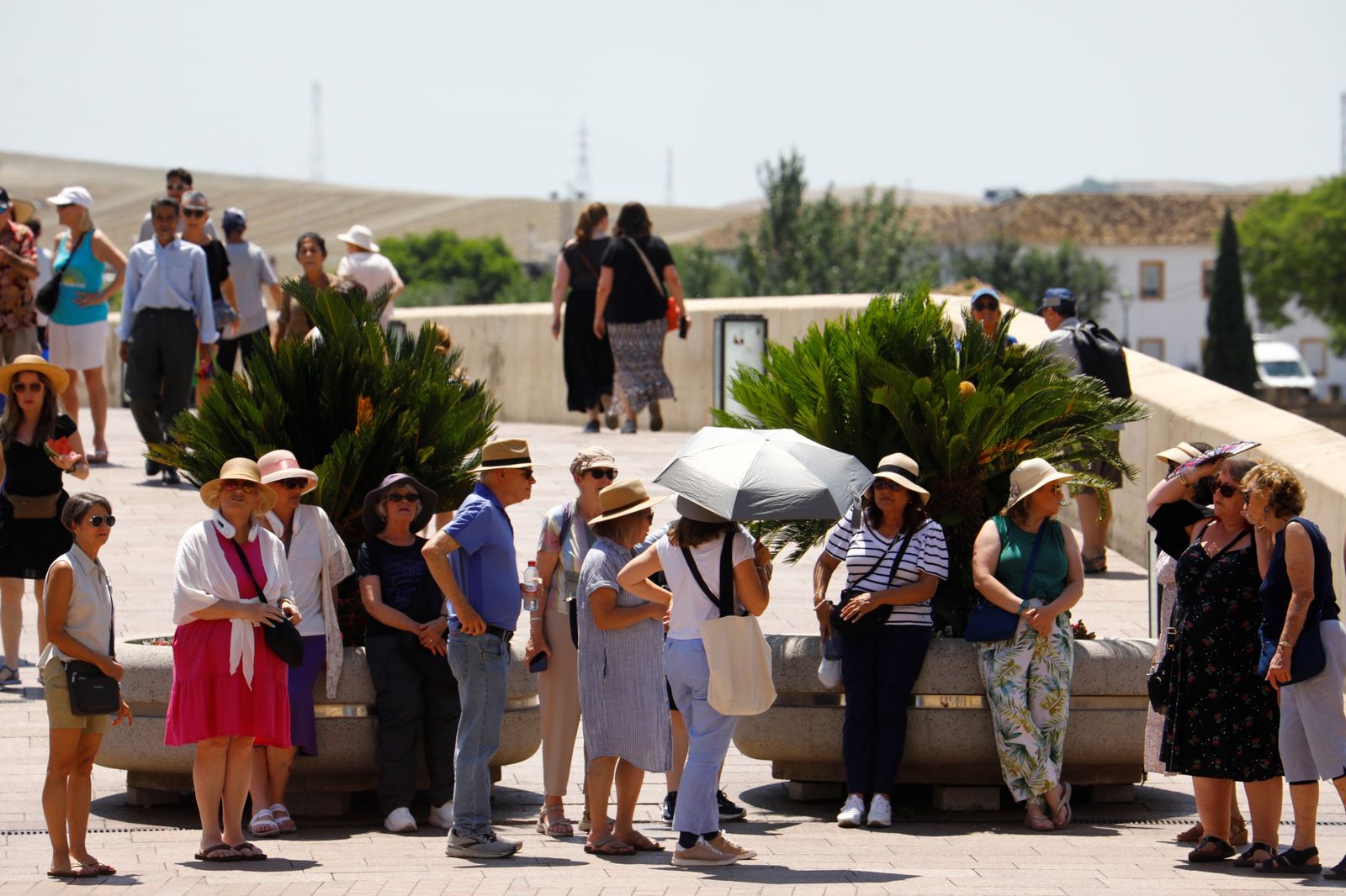 Las imágenes de un sábado de 'veroño' en Córdoba con temperaturas récord