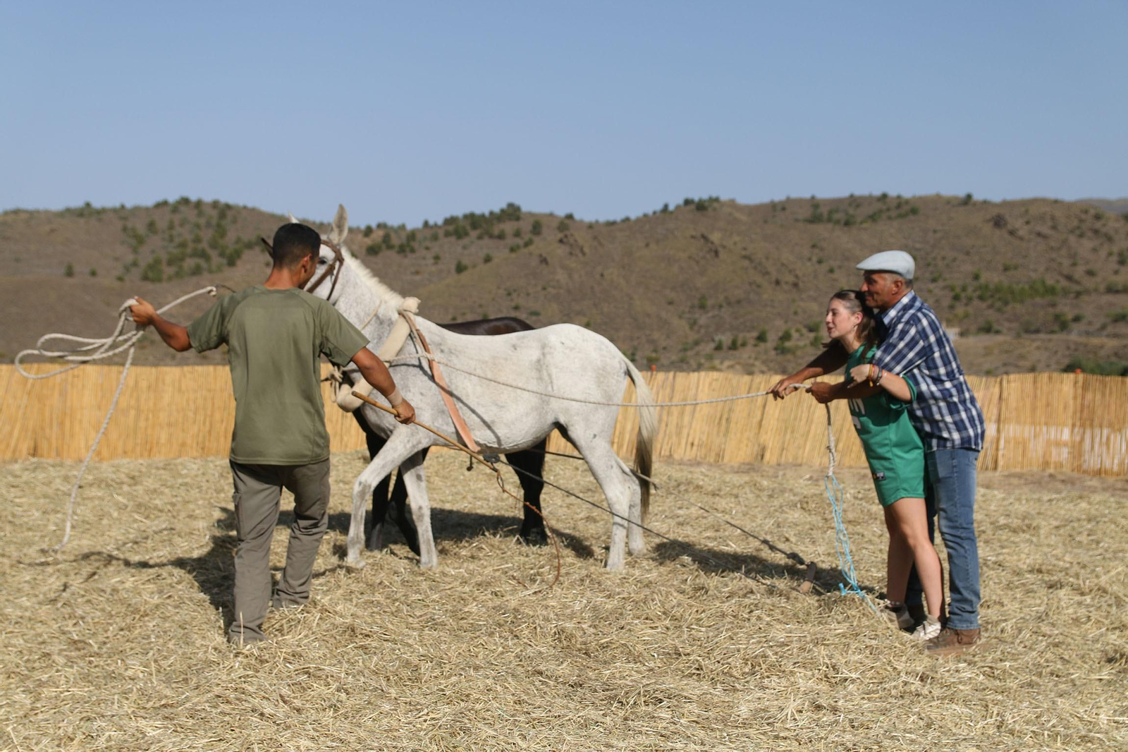 La fiesta de la trilla de Abla