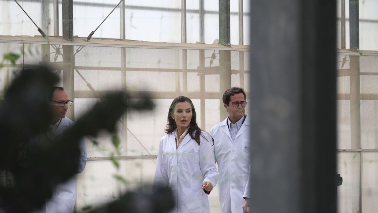 La visita de la reina Letizia a El Ejido, en imágenes