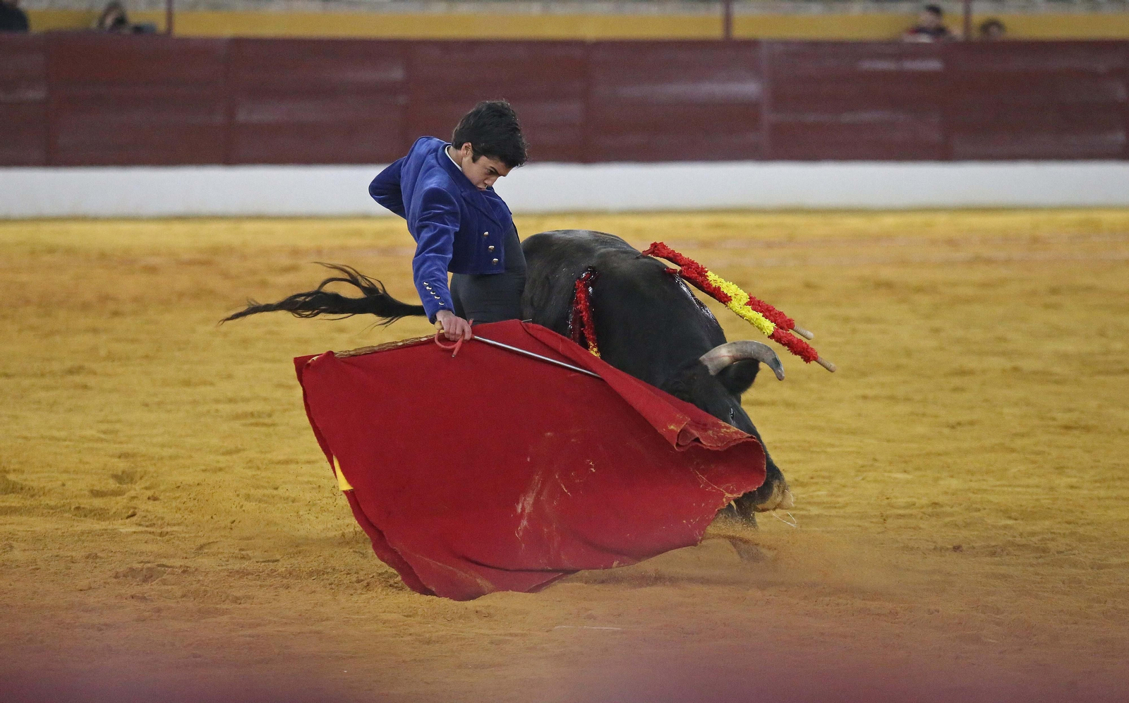 Fotos del festival taurino benéfico en La Línea