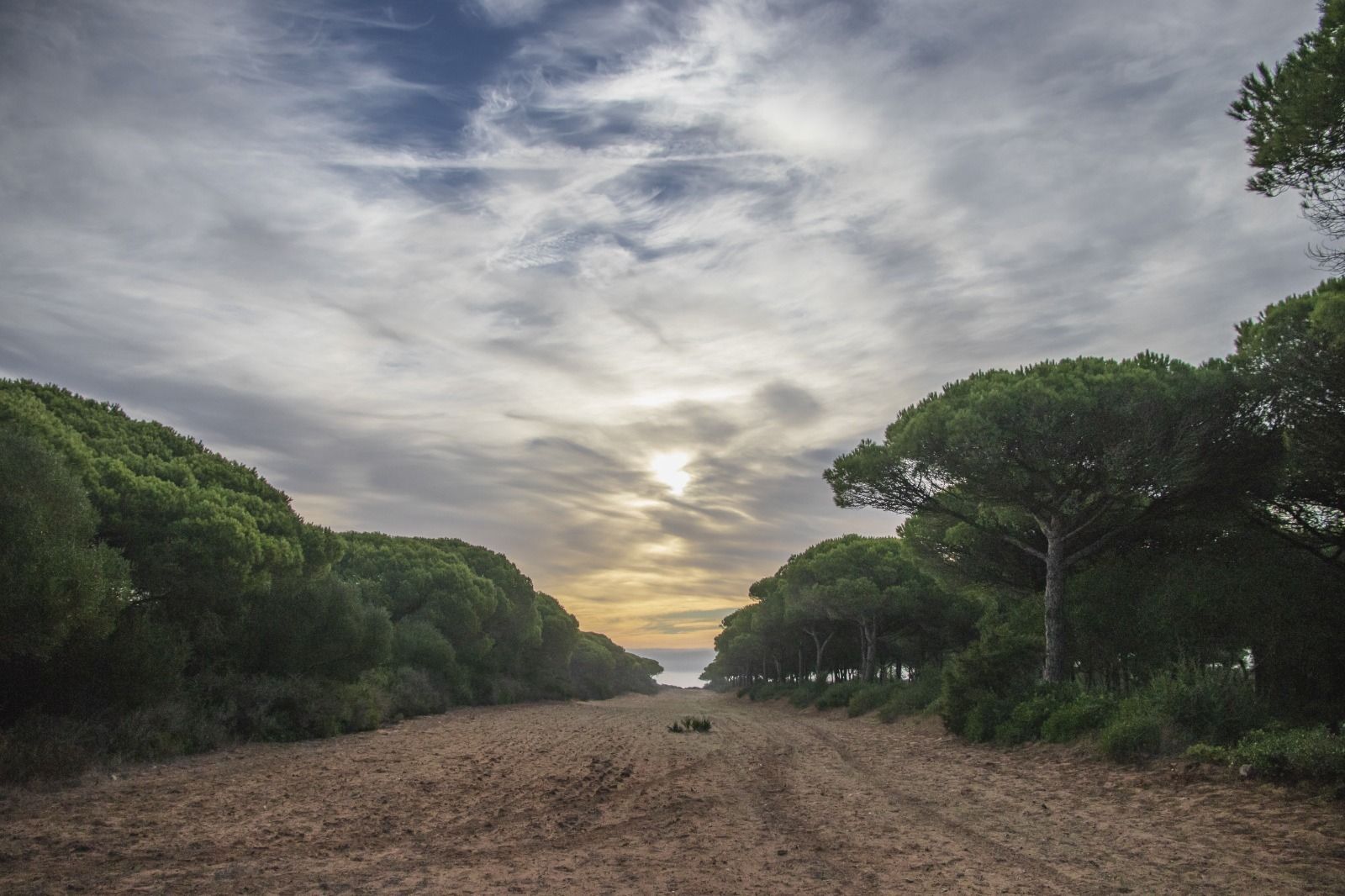 Un camino de este parque natural.