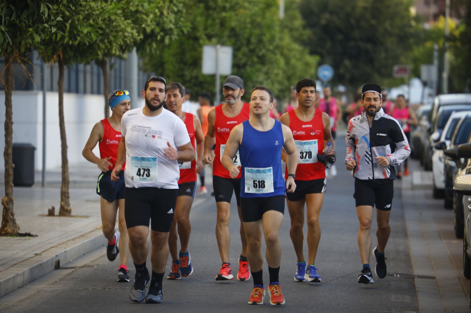 La XXXVI Media Maratón Córdoba-Almodóvar del Río, en imágenes