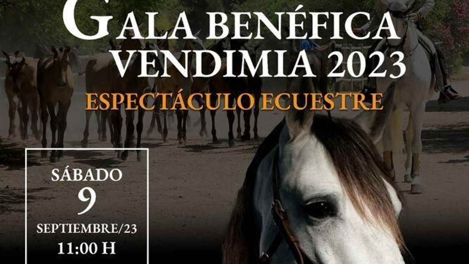 Exhibición en la Yeguada del Hierro del Bocado Exhibición en la Yeguada del Hierro del Bocado
