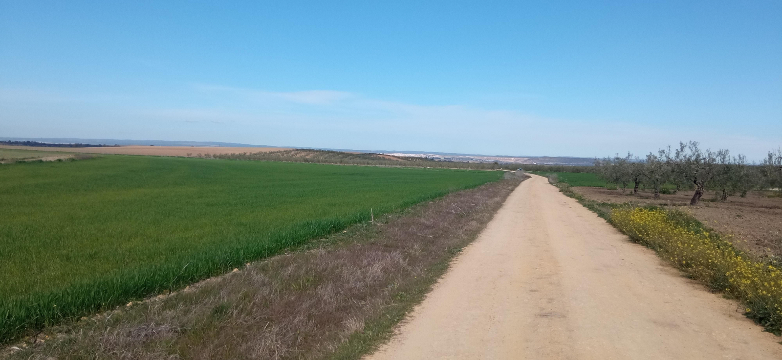 Las imágenes de la ruta de la dehesa de Albaida del Aljarafe