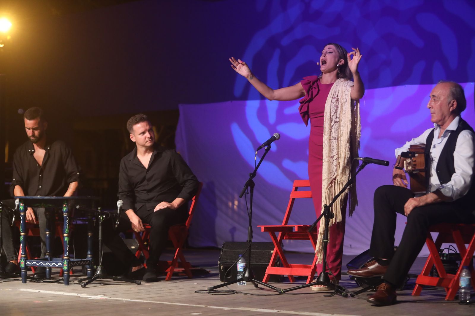La noche flamenca en el Parque de San Fernando, en imágenes