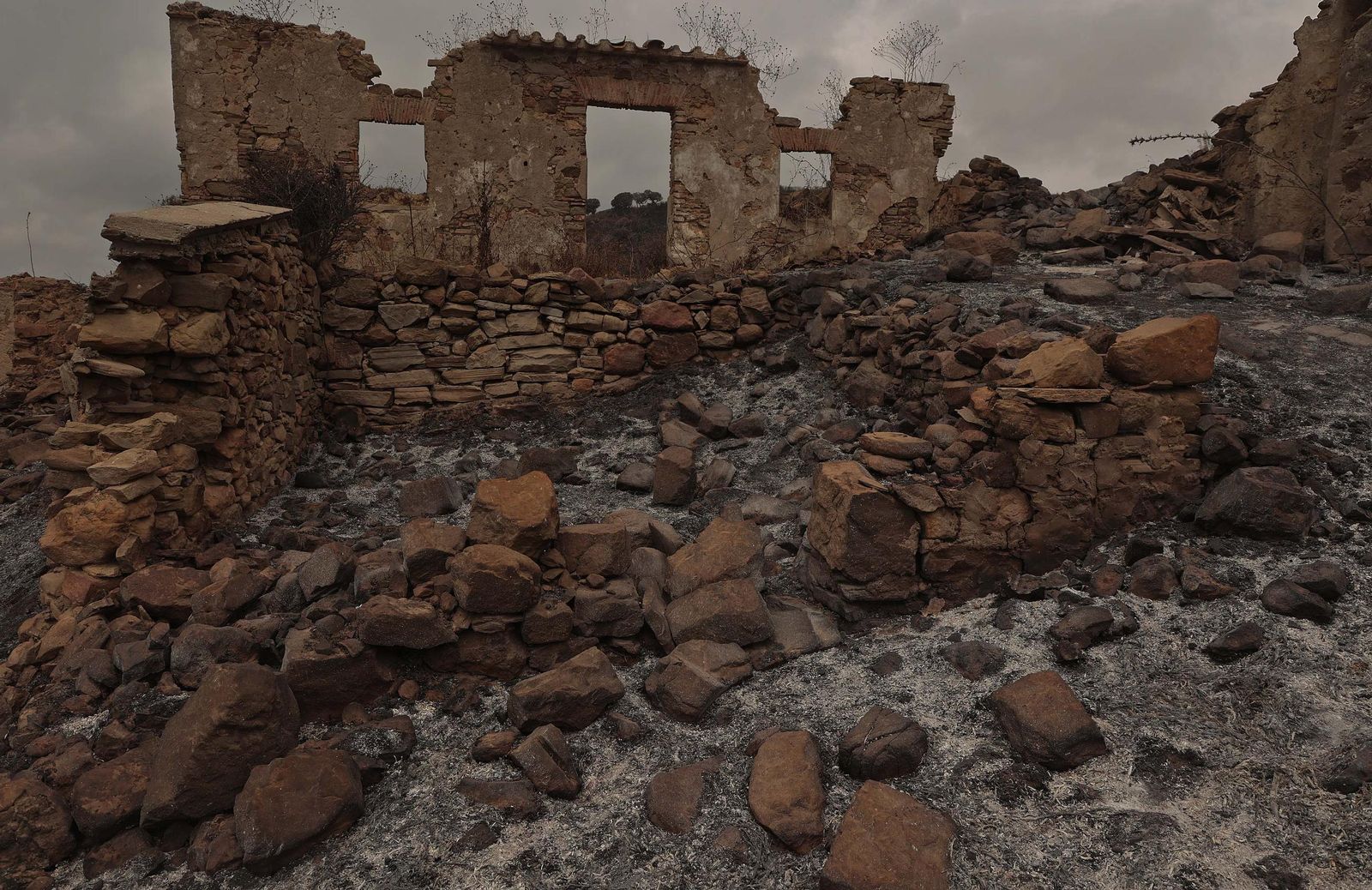 Fotos de los efectos del incendio en el Puerto del Laurel en Algeciras