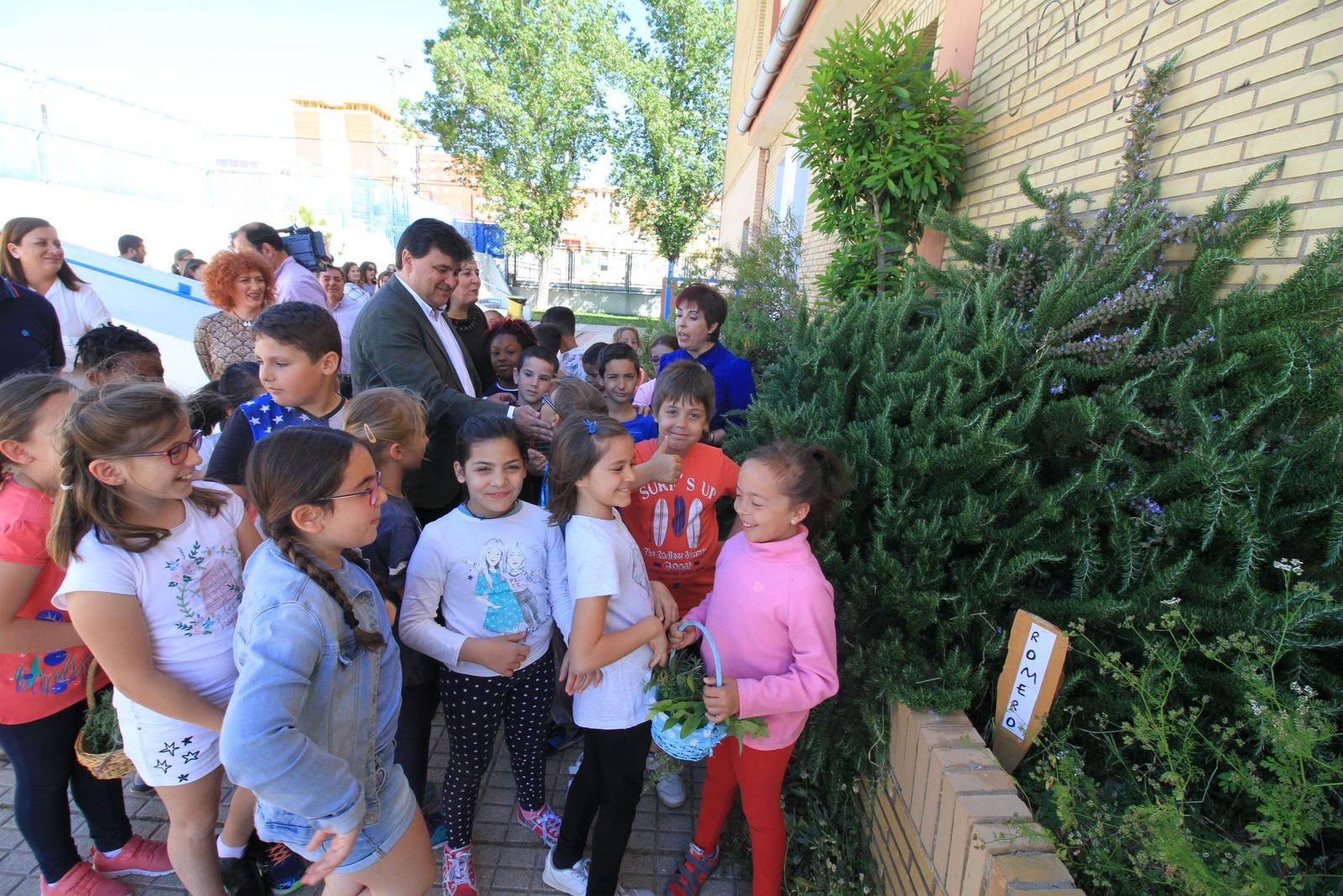 Imágenes de la plantación de árboles llevada a cabo en el colegio Los Rosales, con motivo del incendio del año pasado