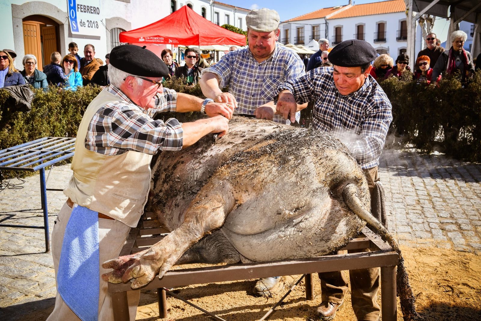 Fiesta de la Matanza en Alcaracejos.