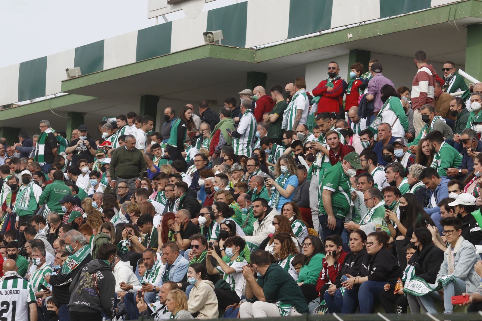 La victoria del Córdoba CF ante el Antequera, en imágenes