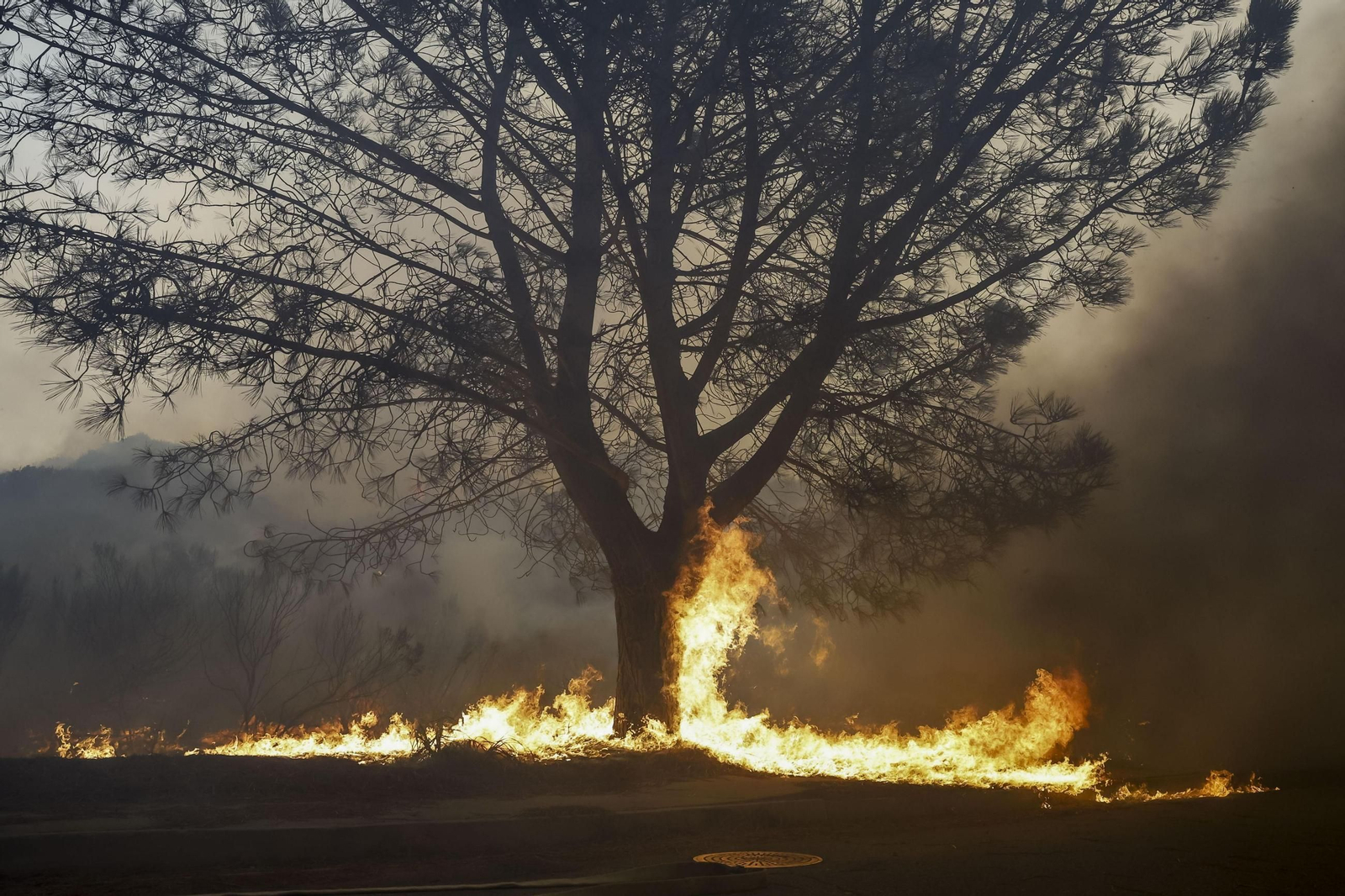 Las impactantes imágenes de los incendios de California