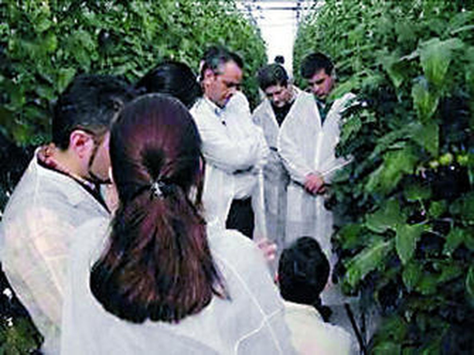 Las prácticas y la investigación son la base de Etifa.