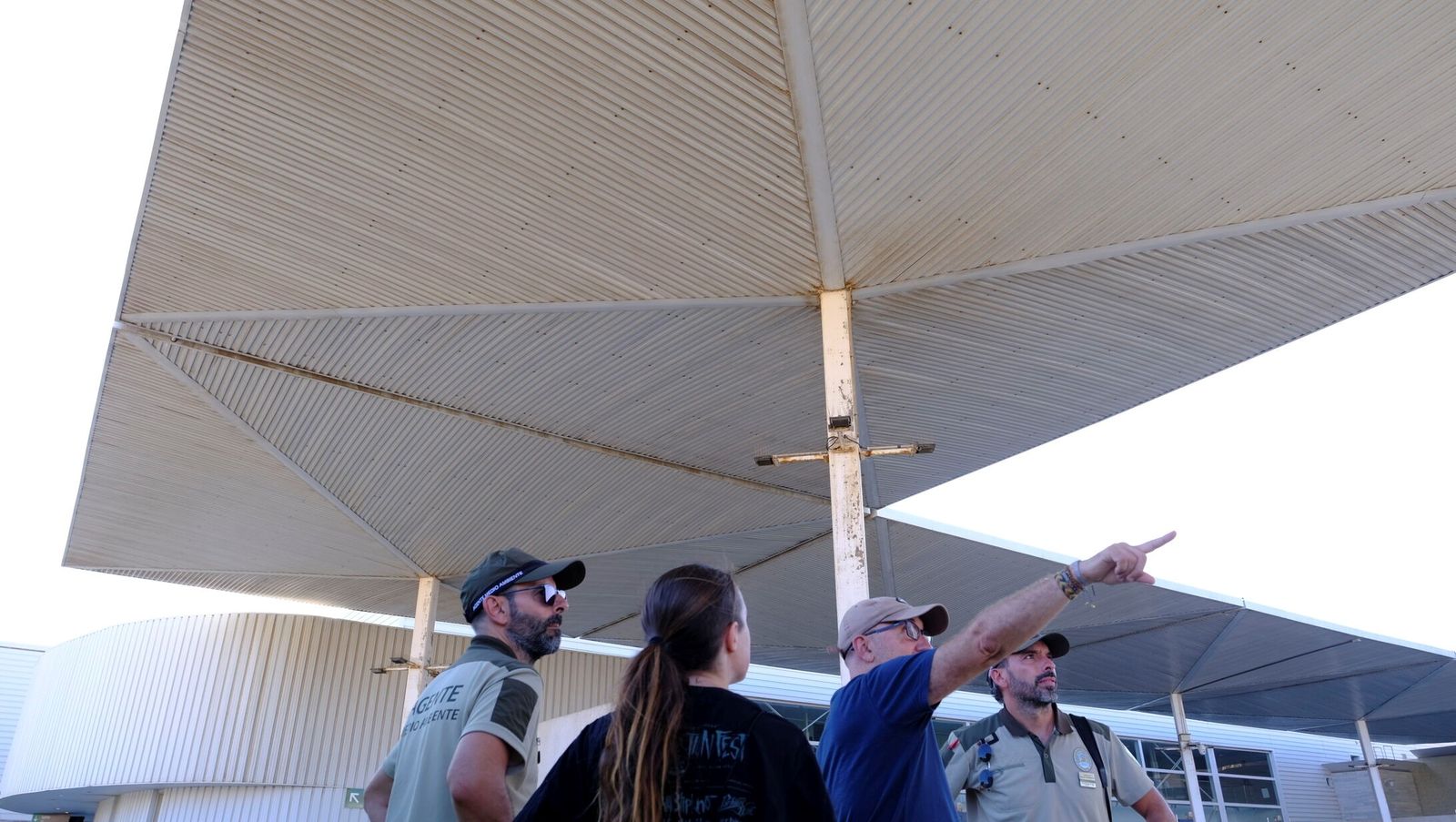 Agentes de Medio Ambiente y miembros de SOS Vencejos, en la estación de Almería el pasado viernes