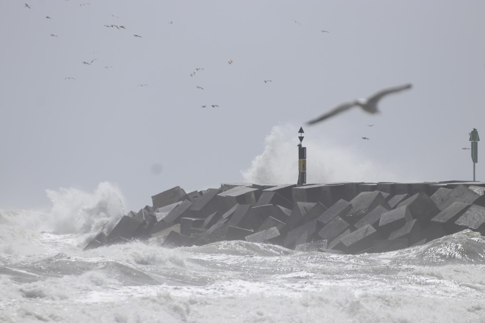 Los efectos del temporal de Levante en La Línea