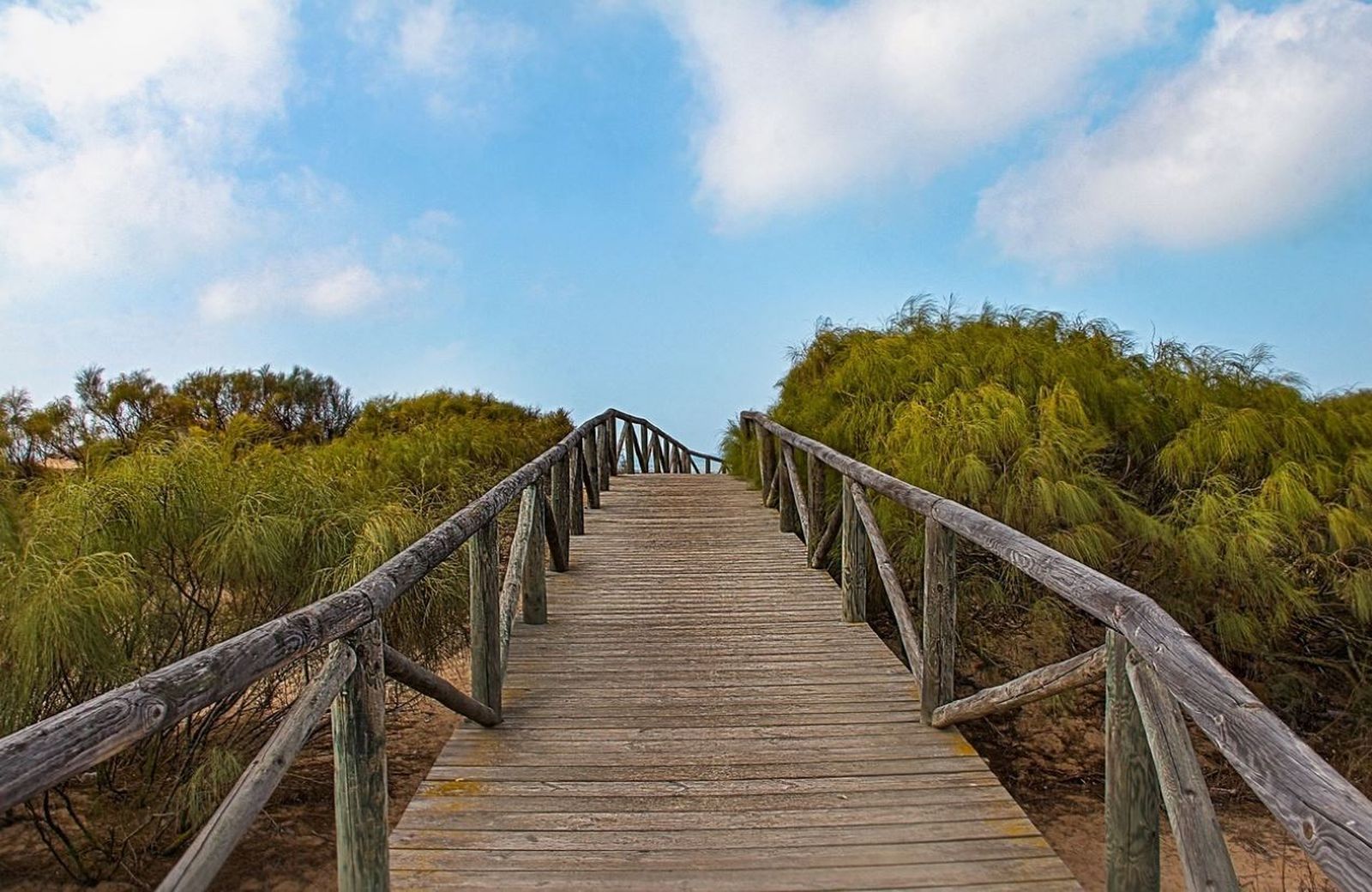Ruta en coche por las playas vírgenes de Cádiz