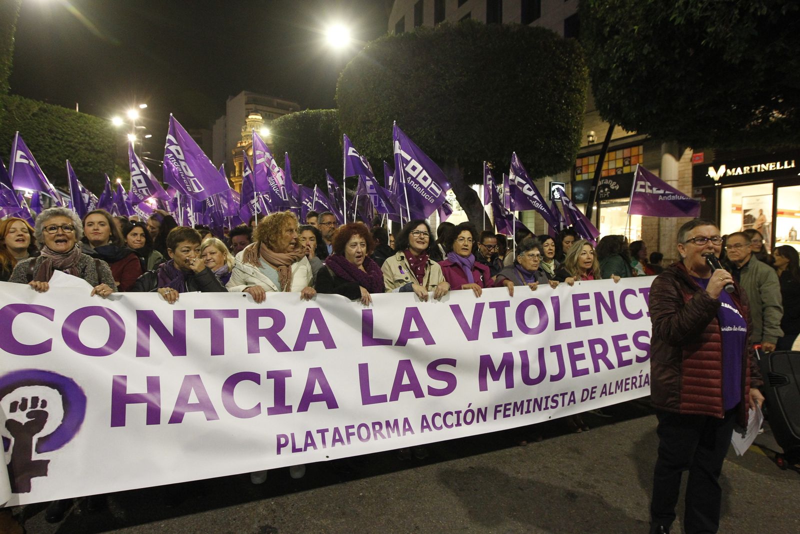 Manifestación Día Mundial contra la Violencia de Género. Almería