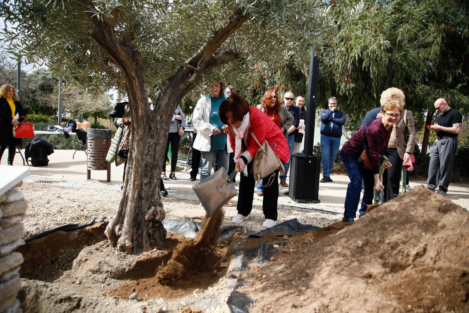 Las imágenes de la plantación de un olivo y el entierro de una cápsula del tiempo