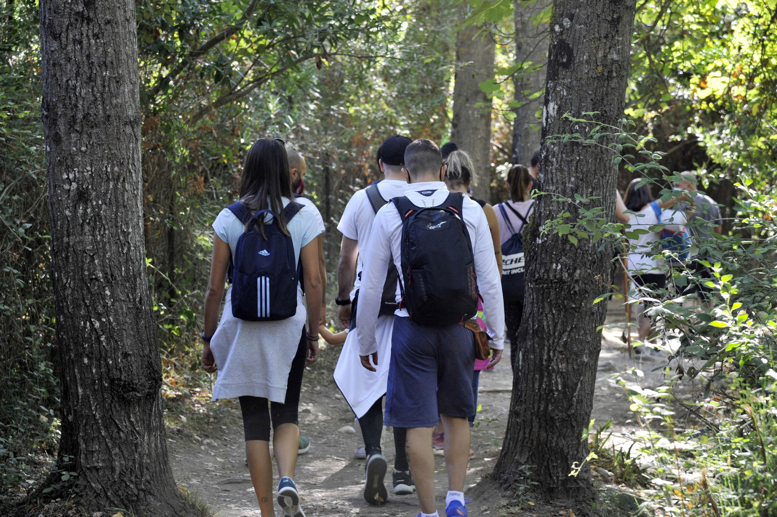 Nuevo lleno de visitantes en El Bosque
