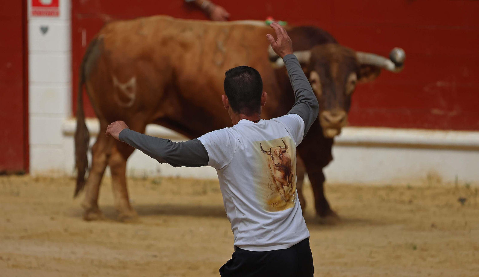 Las mejores fotos del Toro Embolao de Los Barrios 2024