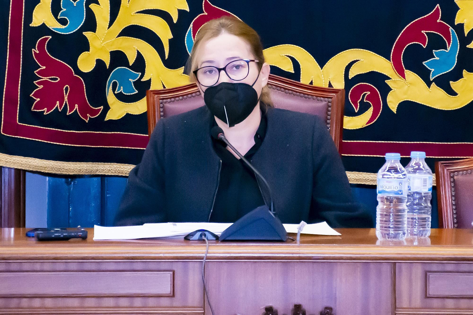 Esperanza Pérez, durante el Pleno en Níjar.