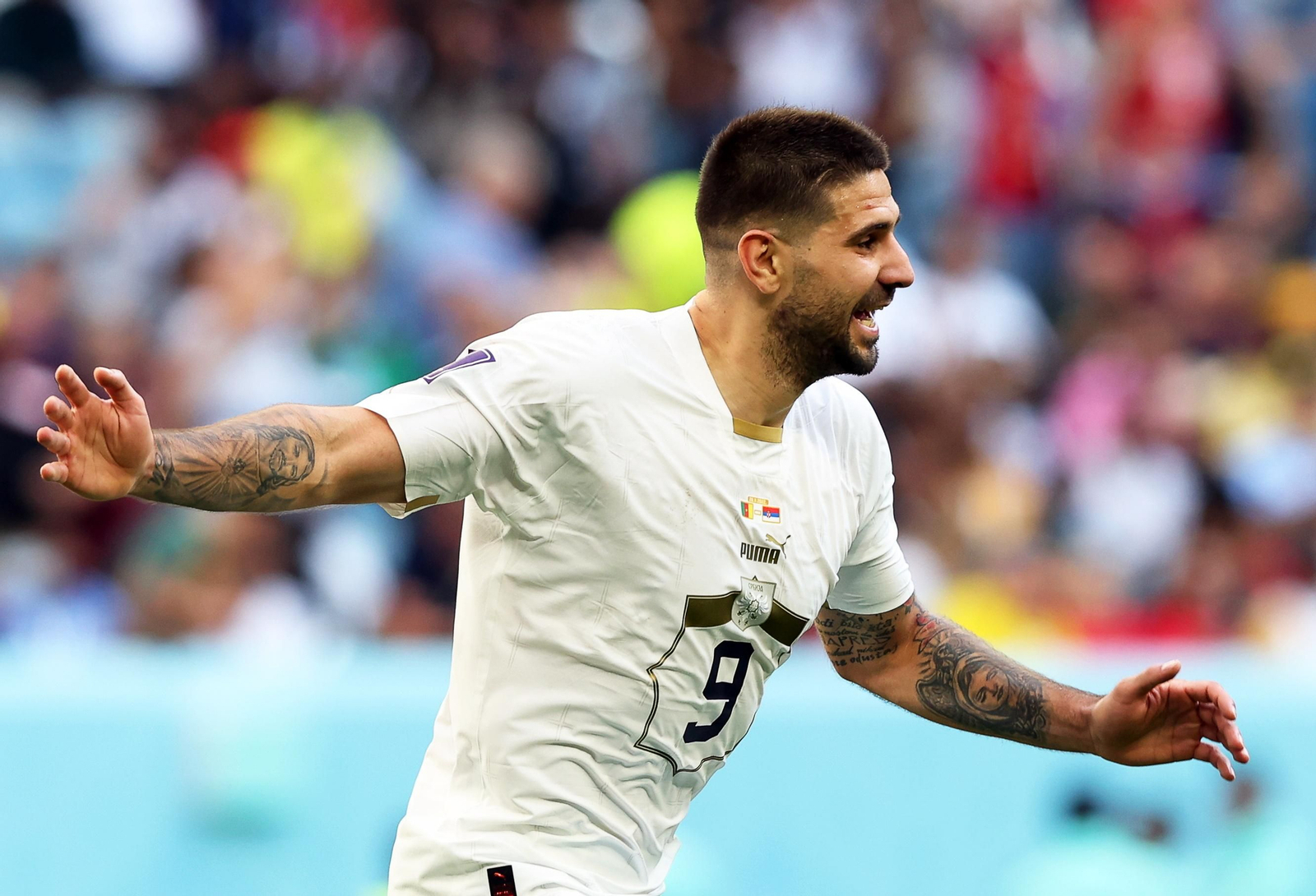 Las imágenes del Camerún - Serbia